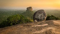 Private Day Trip to Pidurangala Rock & Jeep Safari From Colombo