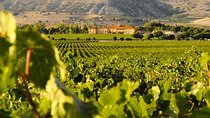 Self Drive Experience in Colchagua Valley, 4 days