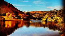 4x4 excursion to Safsaf Wild Oasis with traditional Berber picnic