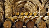 Santa Rita Winery Selection Tour