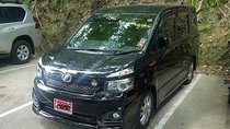 Montego Bay Private Airport Transfer