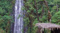 Day Trip Coffee Tour and Materuni Waterfalls