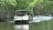 YS Falls plus Black River Safari Guided Tour w/Lunch & Admission from Falmouth