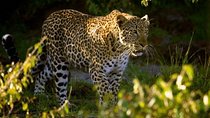 Classic Wonders Of Kenya, Tanzania & Zanzibar 2025