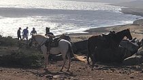Private Sunset Horseback Ride