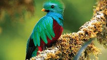 "Discover the magic of the cloud forest with SinwaTours".