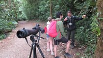 Walk in Santa Elena Cloud Forest Reserve