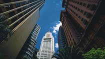 Sao Paulo (Private Car Guided Tour)