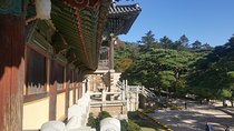 Gyeongju city tour by KTX bullet train from Seoul