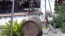 Tour from Naples to Pompeii and Winery 