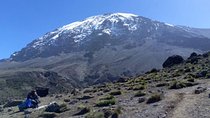 7 days Lemosho route