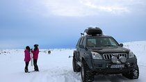  Lake Mývatn and Powerful Dettifoss Day Tour from Akureyri