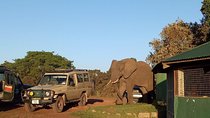 2 Days / 1 Night Tanzania Safari Tour