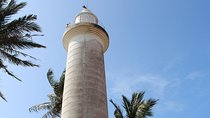 Galle Fort, Turtle, - Private Day Tour From Negombo or Colombo