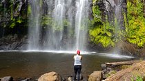 Materuni waterfall and Coffee tour
