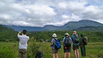 Arusha National Park Day Tour