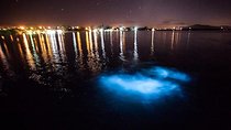 Luminous Lagoon Magical Tour