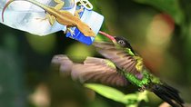 Rockland Bird Sanctuary and Hip-Strip Shopping