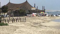 Summer Safari Package to Africa