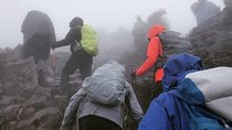 Mt. Kilimanjaro Day Hiking