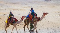 Private tour to Giza pyramids,sphinx,museum,market& lunch 