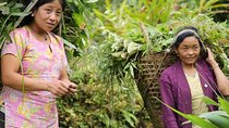 Cultural Tour of Sikkim (7 Days)