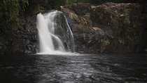 'Explore Sinharaja' rainforest - Adventure Tour (Full day)
