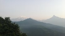 Pokhara: Day Hiking form Dhampus to Australian Camp 
