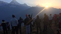 Pokhara: 4 Days Poon Hill - Ghandruk Village Trek