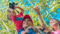 La Fortuna’s Nature and Wildlife in a Single Day