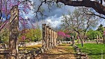 Olympia Highlights & Winery Experience: 4-Hour Tour