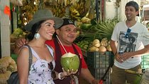 Puerto Morelos Foodie Tour, Mexico in every bite!
