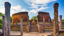 Day Tour from Dambulla to Sigiriya or Pidurangala & Polonnaruwa