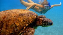 Afternoon Adventure Snorkel from Ka'anapali