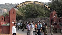 Rajasthan Tour with Wildlife Safari