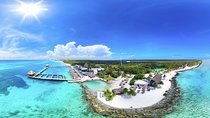 Cozumel Adventure