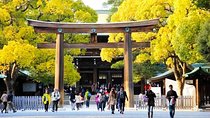 Private Tokyo Custom Half-Day Tour by Chartered Vehicle