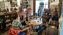 Wine tasting in the family winery, feel the spirit