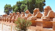Private Full-Day Luxor Sightseeing Tour from Cairo by Plane