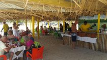 Cultural and Historical Home Tour in The Antiguan Experience 