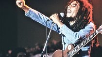 Private Bob Marley Nine Mile & Kingston Tour Combo from Falmouth