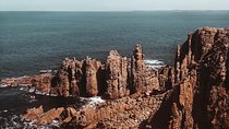 Small Tour (8 ppl) Phillip Island Hike & Penguin Parade Day Tour