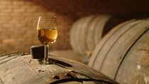 Wine Tasting Tour to Wine Making Region