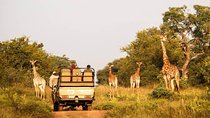 Cape Town South Africa - Best of Aquila Safari Tour 