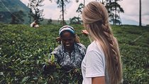Kandy & Nuwara Eliya | 2 Days Tour