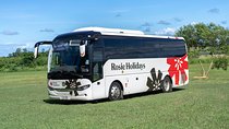 Arrival Shared Transfer : Airport to Hotel