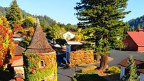 Russian River Valley & Giant Redwoods Private Tour Entrace Fees Included 