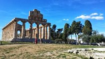 Private Tour Paestum Temples & Farmhouse Visit