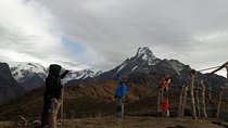 Annapurna: Mardi Himal Base Camp Trek 