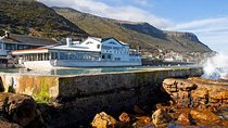 Booze Cruise Trike Tour Cape Town 